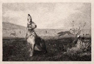 Der Hase nach A. de Balleroy, 1865