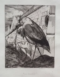Die Störche