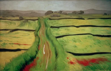 Weg in der Heide