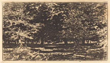Wald (Forêt)