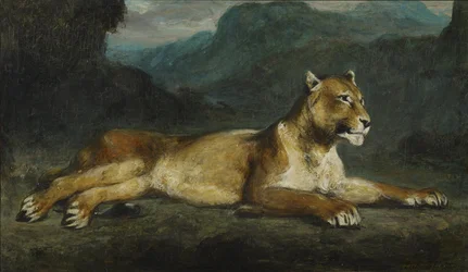Liegende Löwin