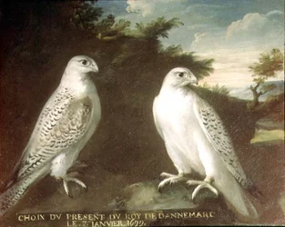 Paar von Gerfalken in einer Landschaft