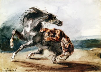 Tiger greift ein Wildpferd an