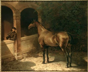 Pferd und Raucher