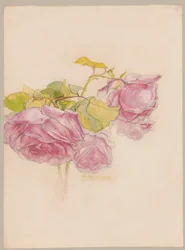 Rosen