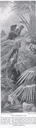 Das Pliozän, Illustration aus 