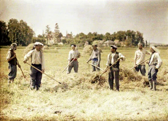 Acht Mitglieder der 143. Infanteriedivision der französischen Armee machen Heu, Soissons, Aisne, Frankreich