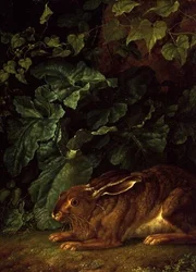 Ein Hase im Unterholz