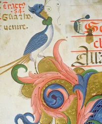 Missale 515 f.28v Fantastischer Vogel mit menschlichem Kopf, Detail aus einem Chorbuch