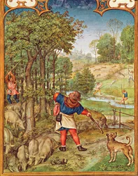 Fol.11v Der Monat November: Eicheln für die Schweine ernten und Jagen, aus dem Breviarium Grimani, ca. 1515