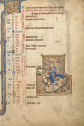 MS 14 f.5, Mai: Falknerei, ca. 1250