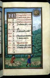 Ms 1058-1975 f.11r Schweinehüten und Eichen schlagen, illuminierte Kalenderseite für November, aus einem Stundenbuch, ca. 1500 (Pergament)
