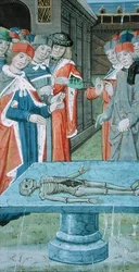 Ms Hunter 9 f.12v Dissektion, aus 