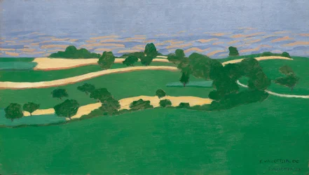 Kornfelder