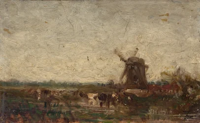 Holland, die Mühle