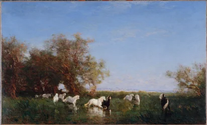 Wilde Pferde in der Camargue, zwischen 1890 und 1895