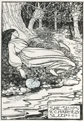 Illustration für 