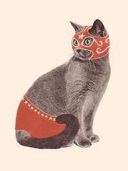 Katzenringer