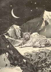Riesiger weißer Tiger in den Bergen