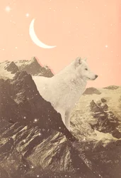 Riesiger Wolf in rosa Bergen, 2021 (Collage)