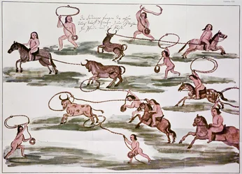 Die Jagdmethode der Mocovi-Indianer, Illustration aus 