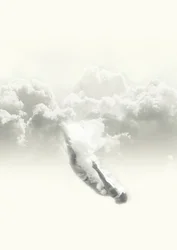 Ätherischer Wolkentaucher