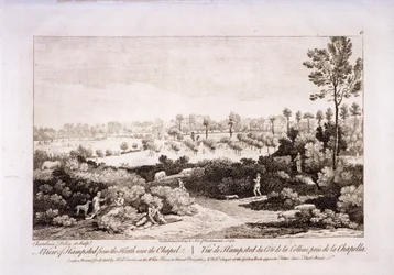 Blick auf Hampstead Heath, Hampstead, London