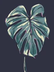 Dunkles Tropisches Monstera-Blatt