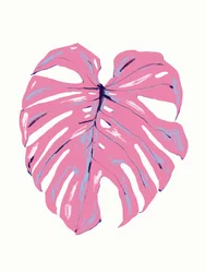 Tropische Pinke Monstera