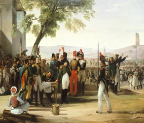 Napoleon nach der Schlacht von Wagram