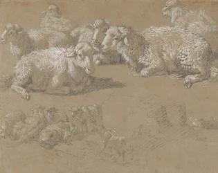 Liegende Schafe in einer Landschaft, 1759-82