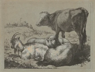Stehender Ochse, zwei Schafe und eine Ziege, ca. 1762