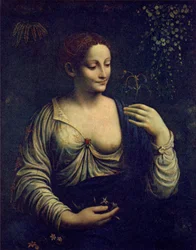 Flora