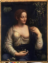Flora