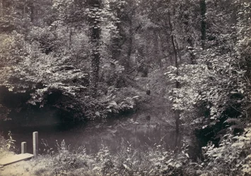 Colwyn Bay. Der Teich im Wald, 1870er Jahre