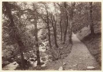 Dolgelley, Ansicht im Torrent Walk