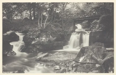 Glen Lyn, die rustikale Brücke, 1860-94