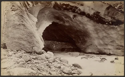 Quelle der Arve