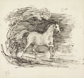 Ein graues Pferd trabt aus einem Wald