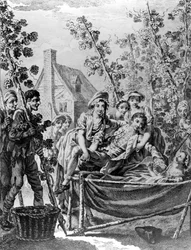 Hopfengarten, eine Illustration zu 