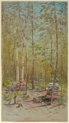 Birken
