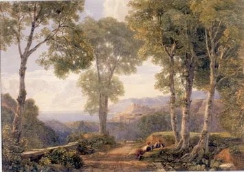 Landschaft