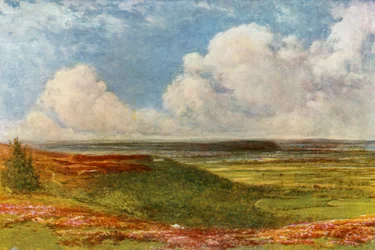 Blackdown Common