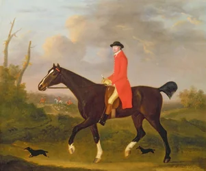 Ein Gentleman auf seinem Jäger reitet zu den Hunden