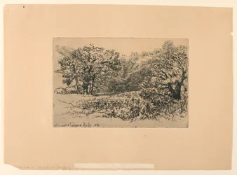 Ein Flussufer in Devon