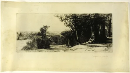 Früher Morgen, Richmond Park