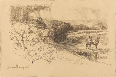 Encombe Woods (Nr.1)