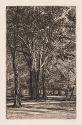 Kensington Gardens, Nr. 2 (Die größere Platte)