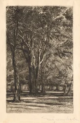 Kensington Gardens, Nr. 2 Große Platte, 1860