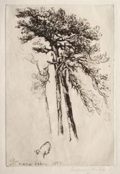 Der neueste Baum, 1882